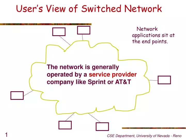 user s view of switched network