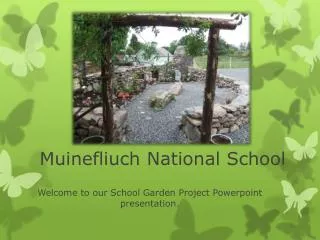 Muinefliuch National School