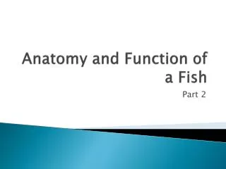 Anatomy and Function of a Fish