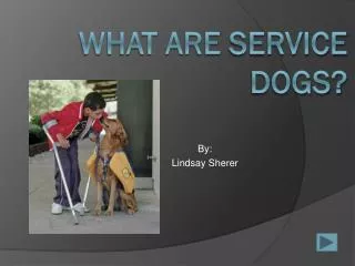 What are Service Dogs?