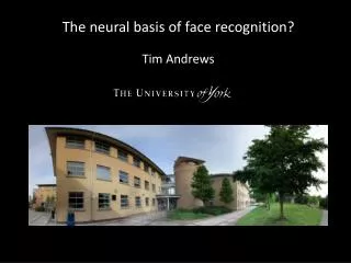 The neural basis of face recognition? Tim Andrews