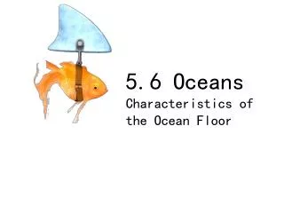 5.6 Oceans Characteristics of the Ocean Floor