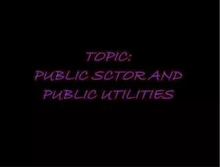 TOPIC: PUBLIC SCTOR AND PUBLIC UTILITIES