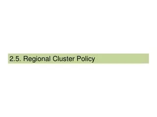 2.5. Regional Cluster Policy