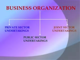 BUSINESS ORGANIZATION
