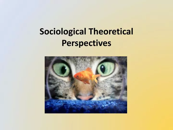 sociological theoretical perspectives