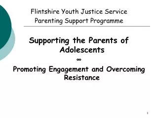 Flintshire Youth Justice Service Parenting Support Programme
