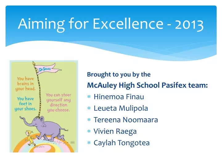 aiming for excellence 2013