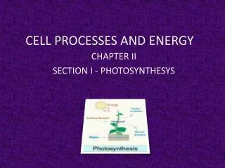 CELL PROCESSES AND ENERGY