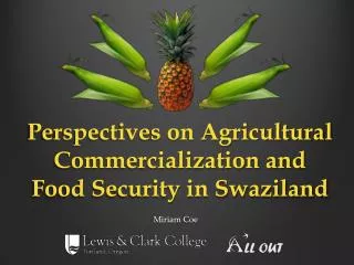 Perspectives on Agricultural Commercialization and Food Security in Swaziland