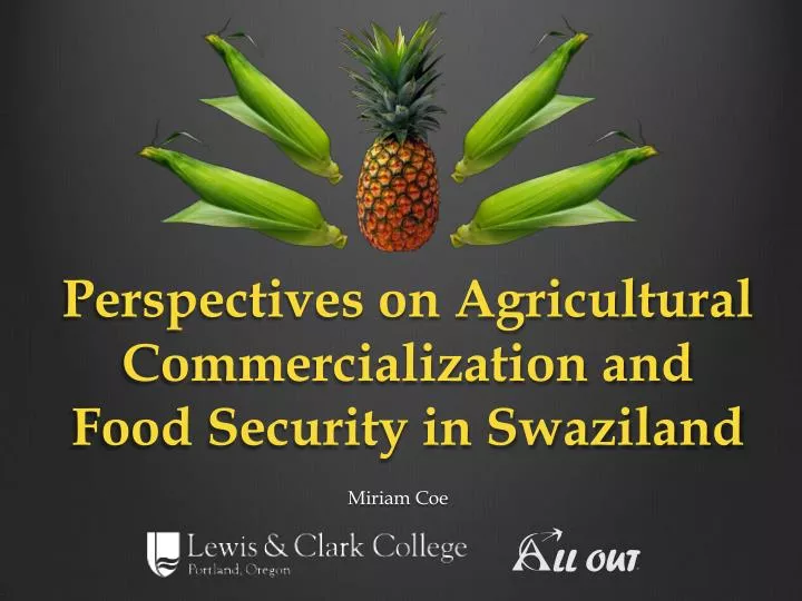 perspectives on agricultural commercialization and food security in swaziland
