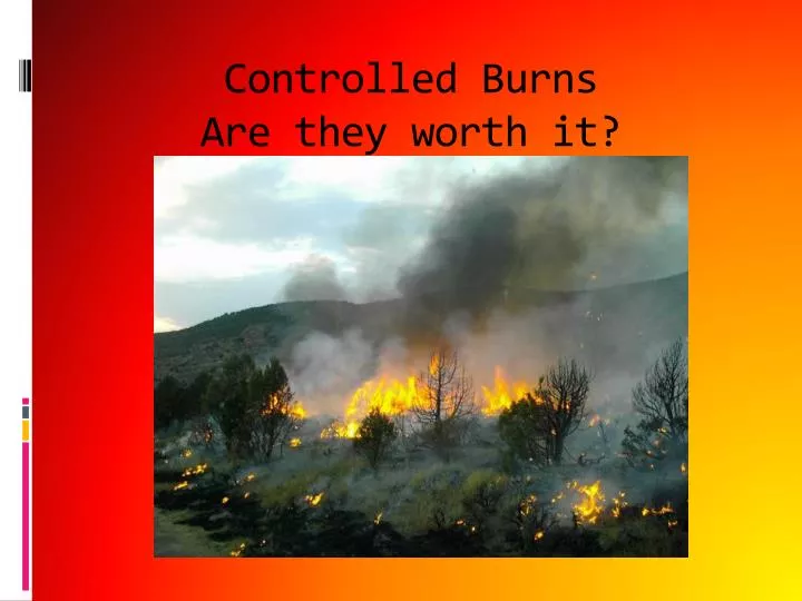 controlled burns are they worth it