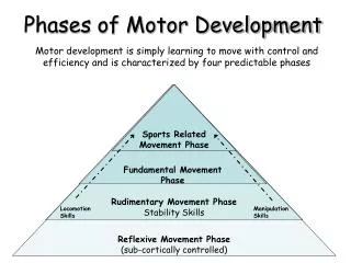 Phases of Motor Development
