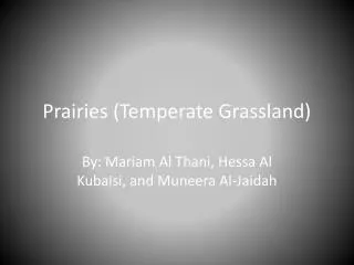 prairies temperate grassland