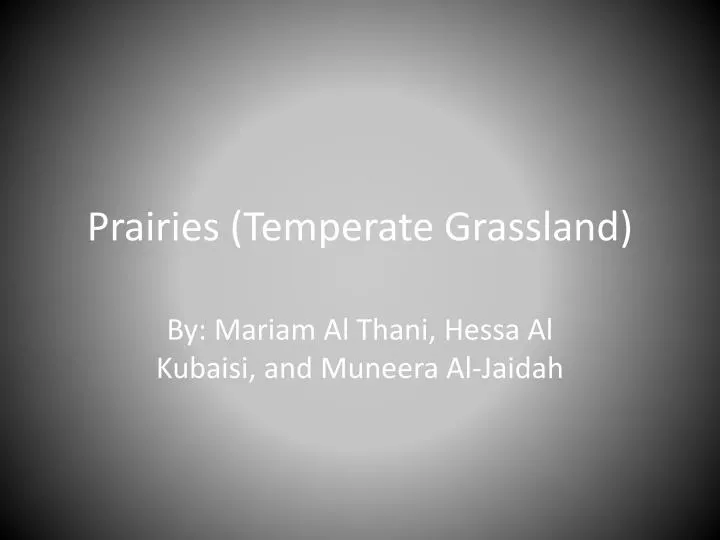prairies temperate grassland