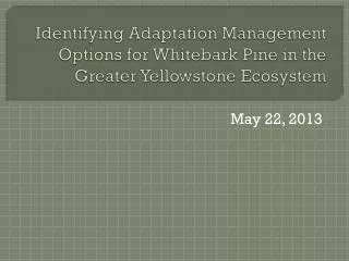 Identifying Adaptation Management Options for Whitebark Pine in the Greater Yellowstone Ecosystem