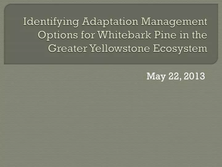 identifying adaptation management options for whitebark pine in the greater yellowstone ecosystem