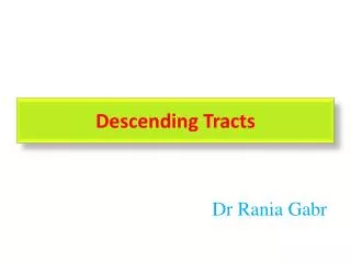 Descending Tracts