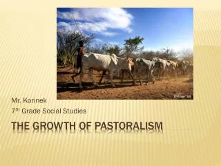 The Growth of Pastoralism