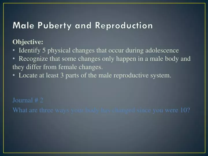 male puberty and reproduction