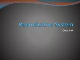 Reproductive System