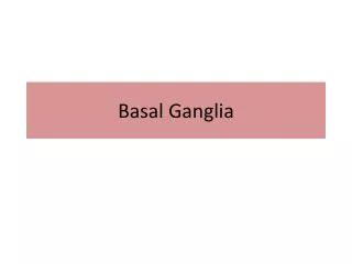 Basal Ganglia