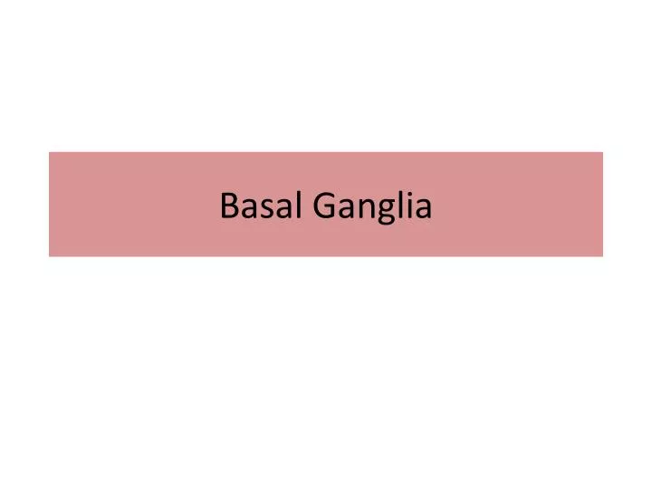 basal ganglia