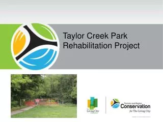 Taylor Creek Park Rehabilitation Project