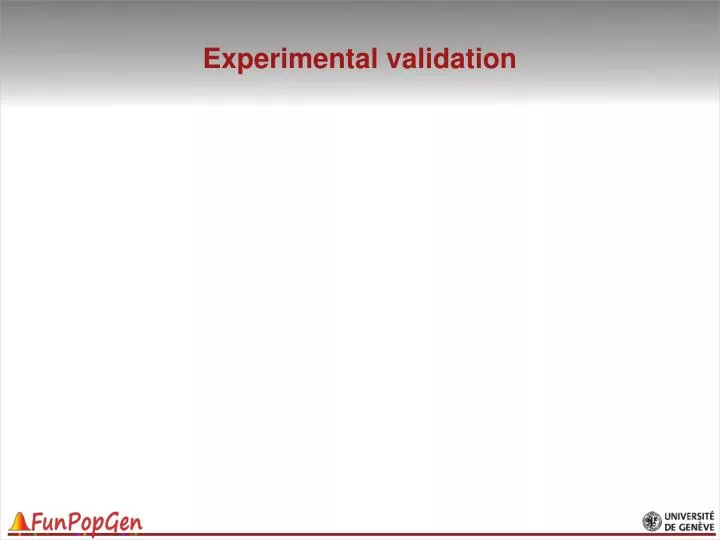 experimental validation