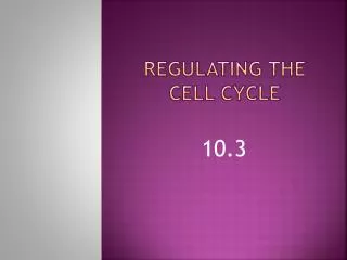 regulating the cell cycle