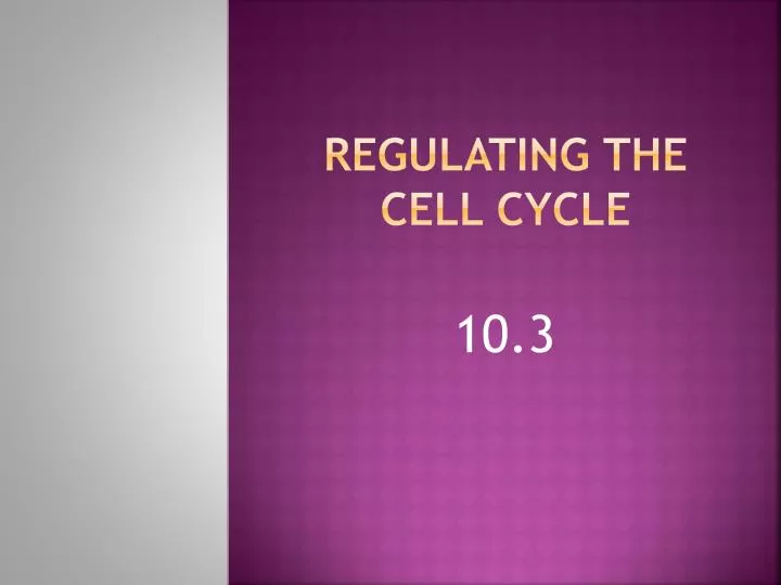regulating the cell cycle