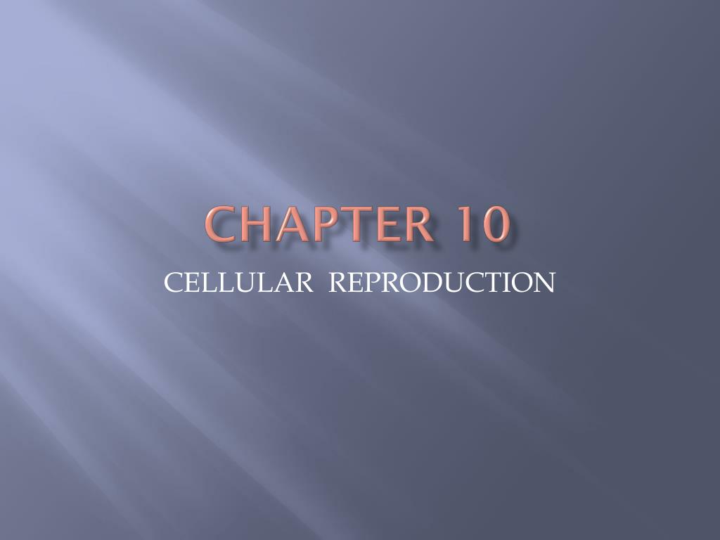 PPT - Chapter 10 PowerPoint Presentation, free download - ID:2474530