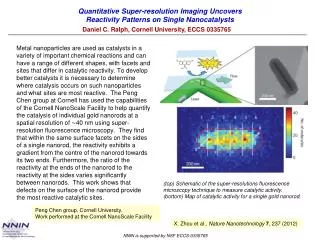 Quantitative Super-resolution Imaging Uncovers Reactivity Patterns on Single Nanocatalysts