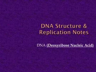 DNA Structure &amp; Replication Notes