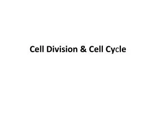 Cell Division &amp; Cell Cy c le