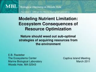 Modeling Nutrient Limitation: Ecosystem Consequences of Resource Optimization