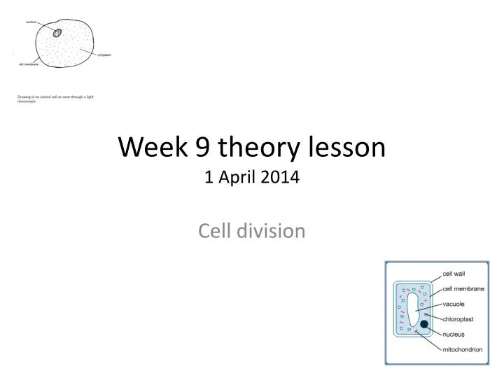 week 9 theory lesson 1 a pril 2014