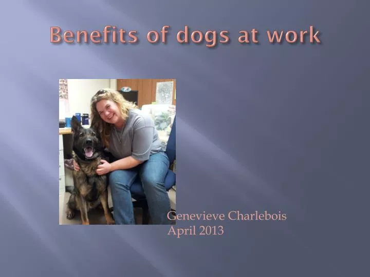 benefits of dogs at work