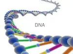 DNA - slide 1