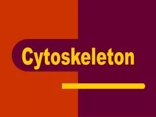 Cytoskeleton