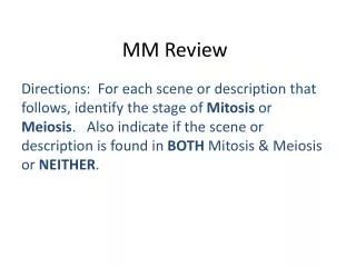 MM Review