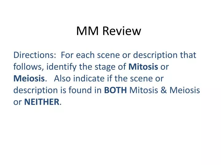 mm review
