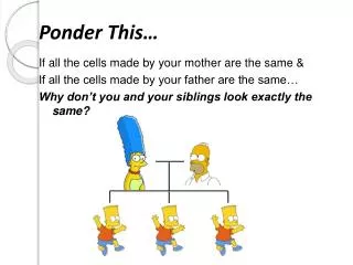 ponder this