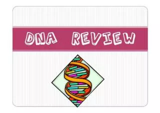 What does DNA stand for?