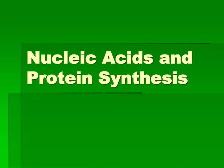 nucleic acids and protein synthesis