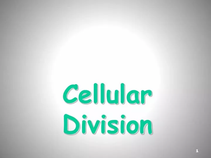cellular division