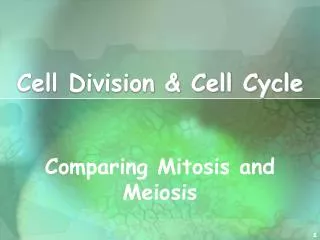 Cell Division &amp; Cell Cycle