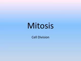 mitosis