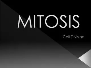 MITOSIS