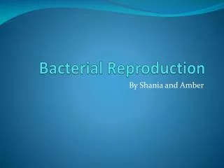 Bacterial Reproduction